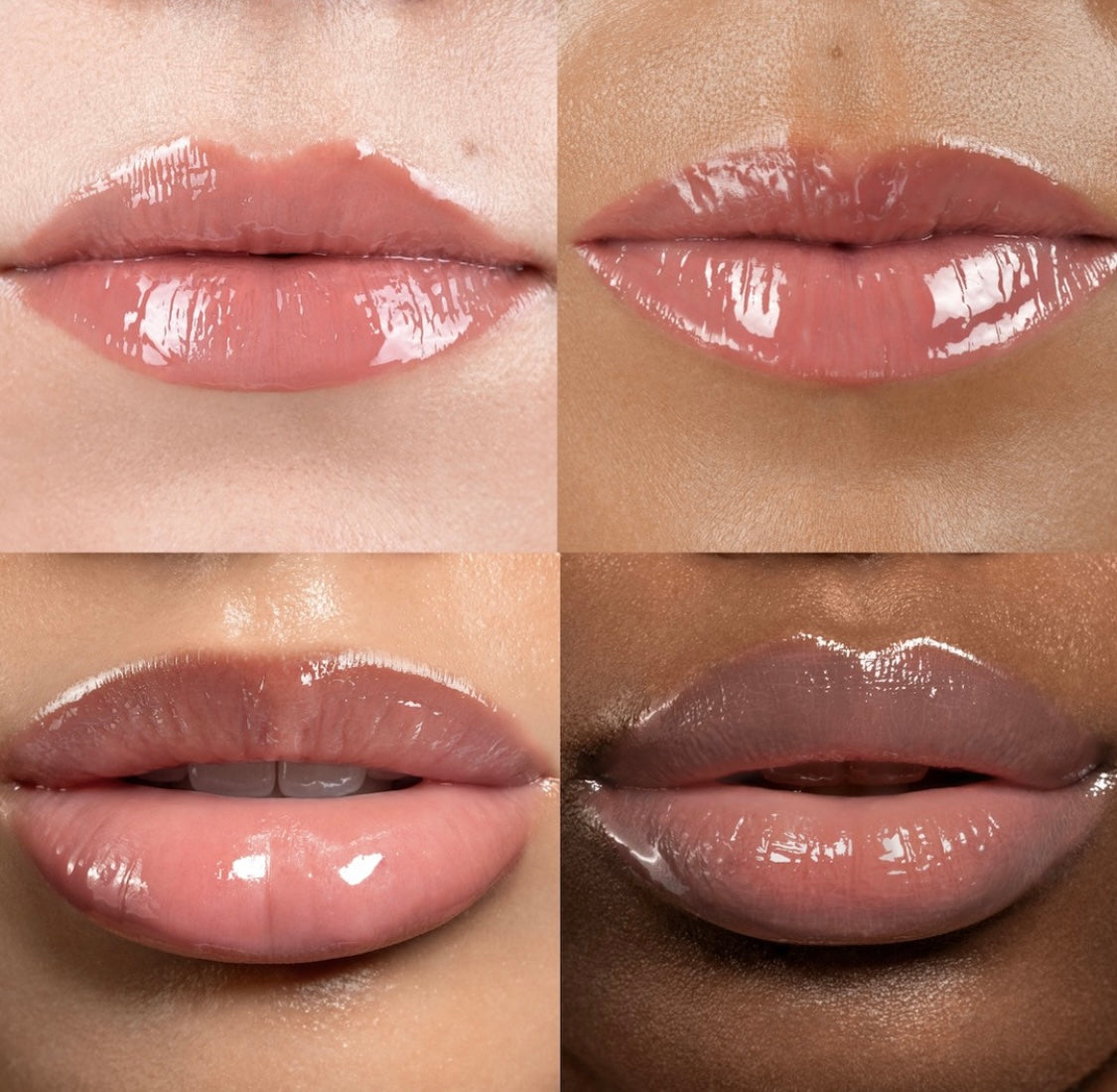 ANFISA ÂN-GLOSS Ceramide Lip Tint